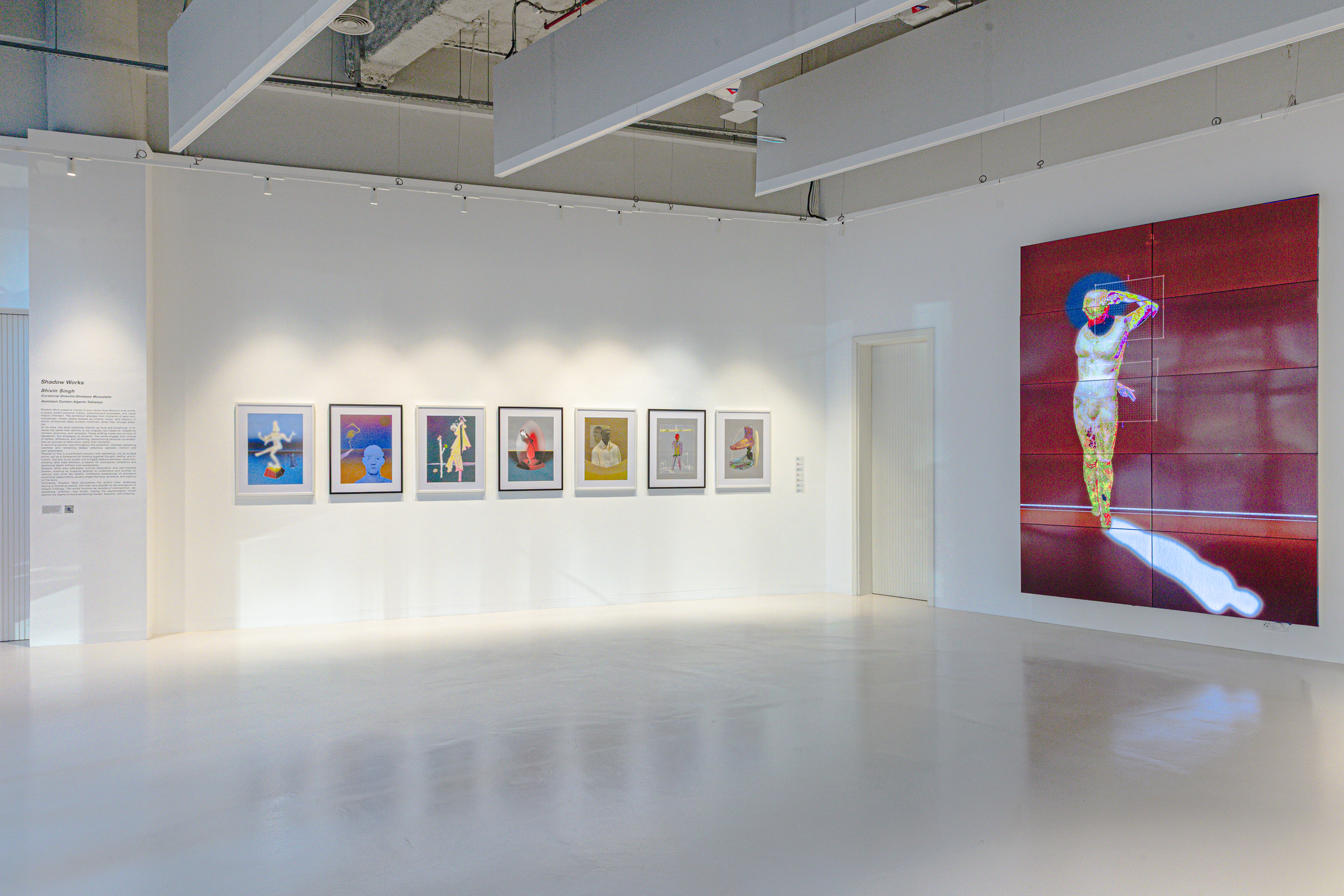  Shadow Works Shivin Singh